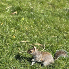 feeding creatures