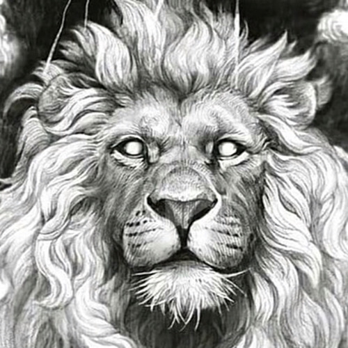 Статутя льва 12 век россич. Лев 17. Snow lion. Лев 17. Лев 17.