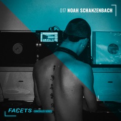 FACETS Concealed Series | 017 | Noah Schanzenbach