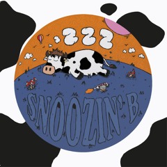 Snoozin B - The B is for Bass [ZZZ01]