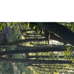 Conservations 2