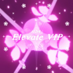 t12rk - Elevate VIP
