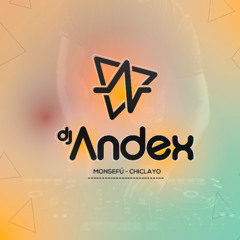 Amor de vago - Dj Andex Mix