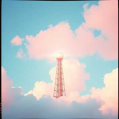 시그널 (Signal)