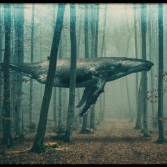 Darkpsy / Forest