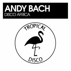 Andy Bach - Disco Africa
