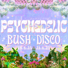 Nicole+ @ Psychedelic Bush Disco Vol. 3 19/4/25