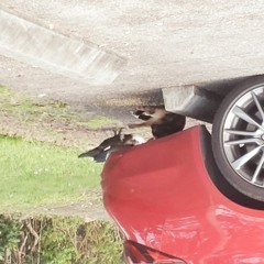 Im A Keep Going (Ft Oski)