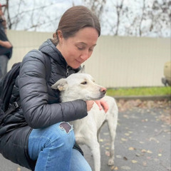 The Dogs of Donbass: Interview with Freelance Journalist Eva Bartlett