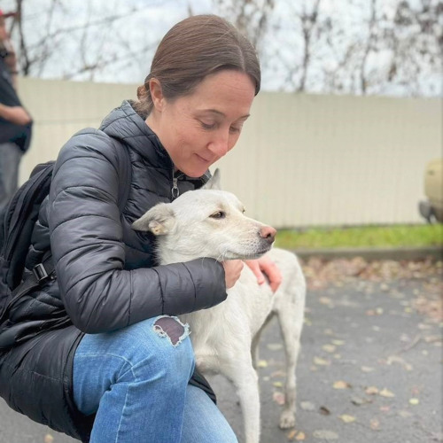 The Dogs of Donbass: Interview with Freelance Journalist Eva Bartlett