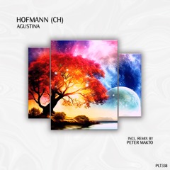 Hofmann (CH) - Agustina (Extended Mix) [Polyptych]
