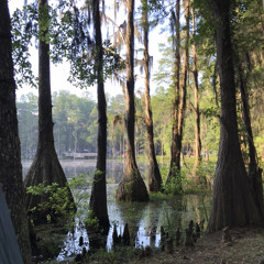 Mos Def - I'm Leaving (Blue Print Remix)