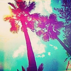 Late Night Under Palms (Snippet)