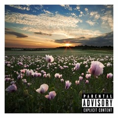 Solstice - RDN x ATG