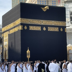 القارئ جهاد الفالح سورة فصلت ودعاء ❤️