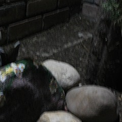 different me, same curse [prod. michael harrison]