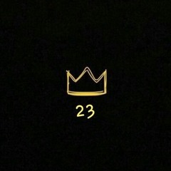 23 (2023)