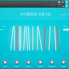 Day 8 (Hybrid Keys)