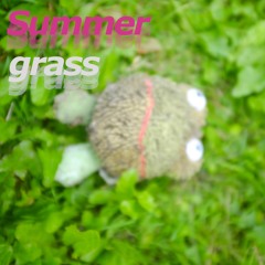 Summer Grass