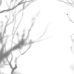 kill switch (Ft. Lil Egg Head)