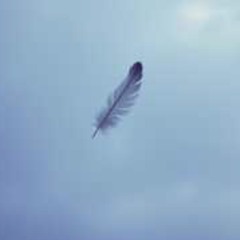 Finding love is light as a feather
