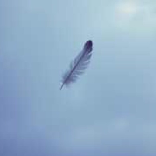 Finding love is light as a feather