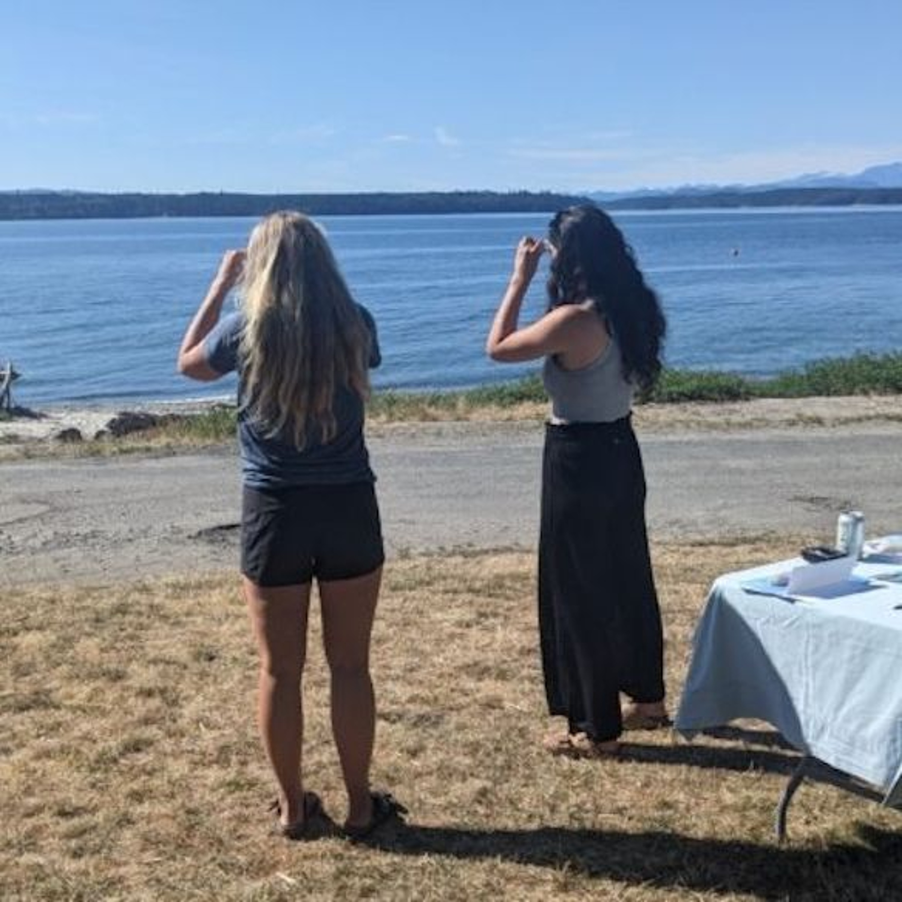 Whale Blitz teaches locals how to report entangled humpbacks