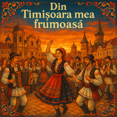 Din Timișoara mea frumoasă