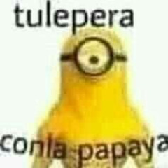 maria maconhera - DJ MINIONS DA 011 & DJ MOTOBOY