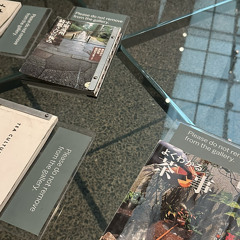 shedontkno(free melly) (stxndos rckts)