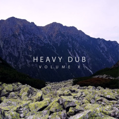 Experience Dub (Out on Cold Tear Records)