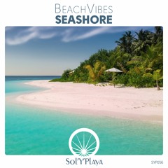 OUT NOW! BeachVibes - Seashore EP (Sol Y Playa Records)