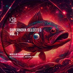 Supernova Selected Vol. 2 - Radio Badjay