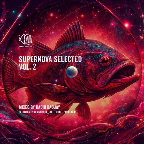 Supernova Selected Vol. 2 - Radio Badjay