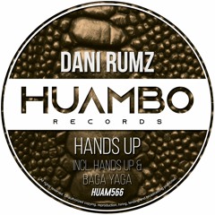 Dani Rumz - Hands Up (Fun Mix)