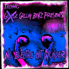 Techno Groony Presents: No Electro Hit Wonder
