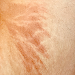 FX wizard day one maybe panner