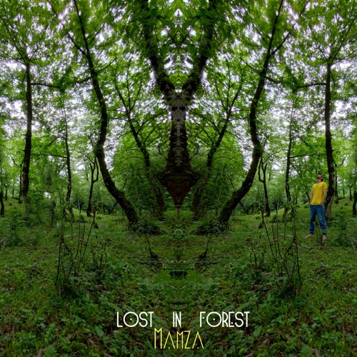 Lost In Forest