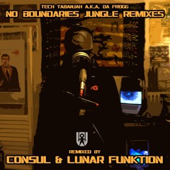 Tech Tabanjah - No Boundaries (Lunar Funktion Remix)