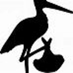 SoundGym Y1W12 The Happiest Day Of My Life