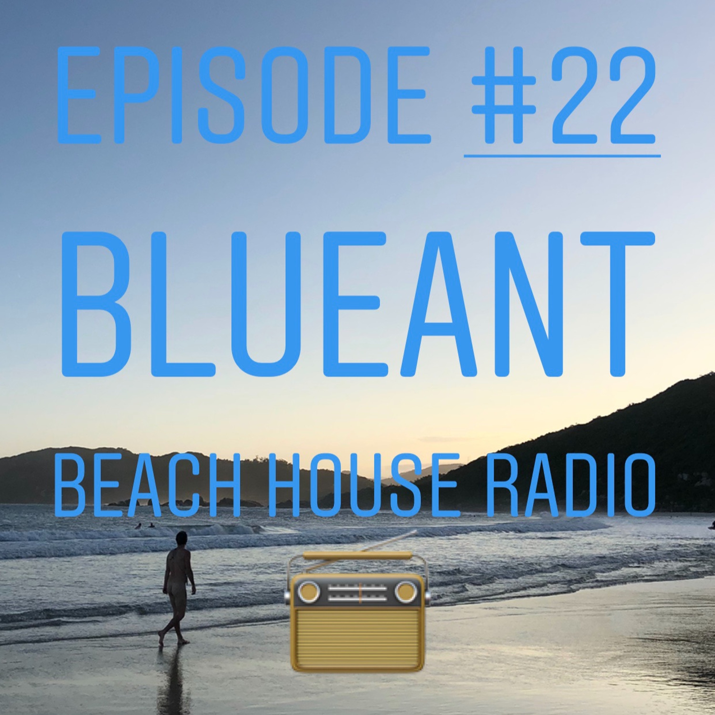 BlueAnt Beach House Radio