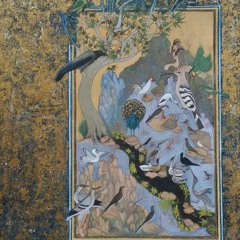 Fi youm wi Leyla (dark version)