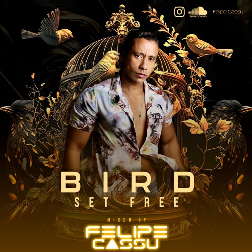 Bird Set Free - Felipe Cassu Set Mix
