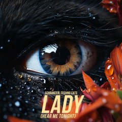 Lady (Hear Me Tonight) (Extended Schranz Mix)