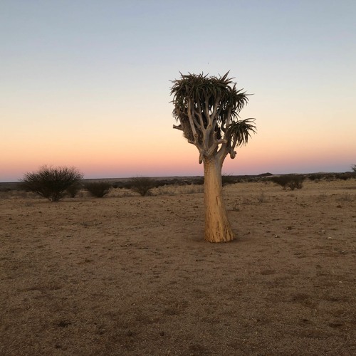 May 2021 Demo Mix