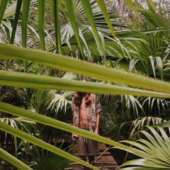 01 NIGHT AT THE JUNGLE