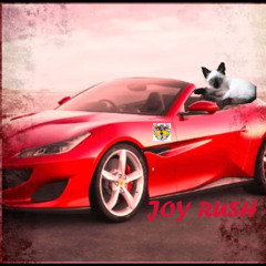 JOY RUSH
