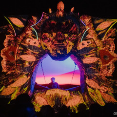 🏴‍☠️ ONE FLAG STANDS | Ernya - Southern Glow Rec | About 2025 Festival Season