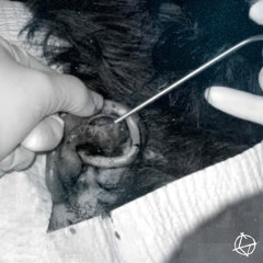 LISTEN TO ME (FREE DL)