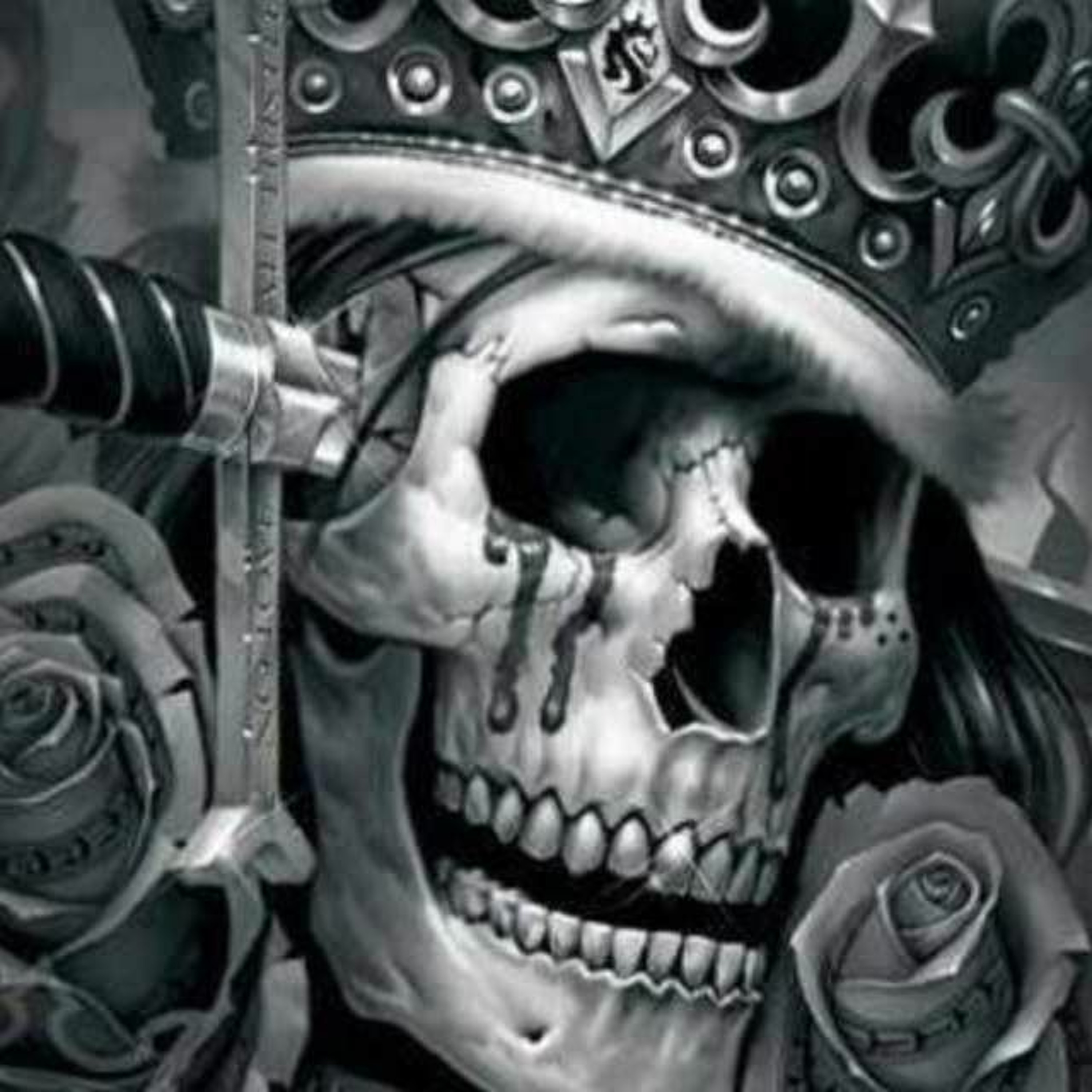 Evol Onyx